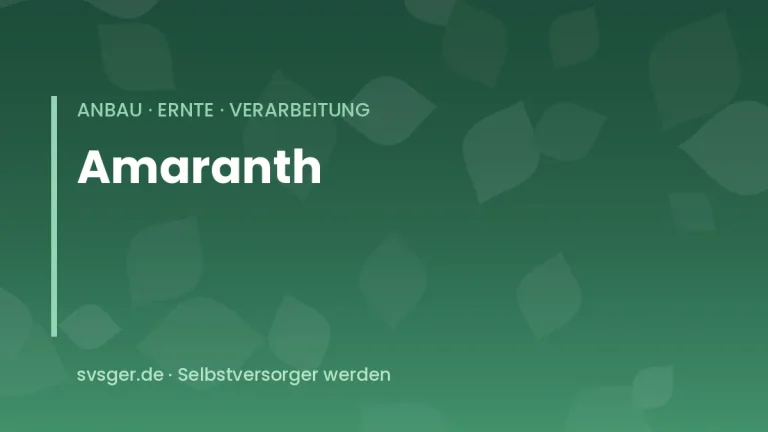 amaranth anbauen