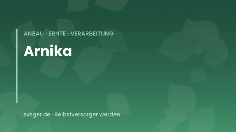 arnika anbauen