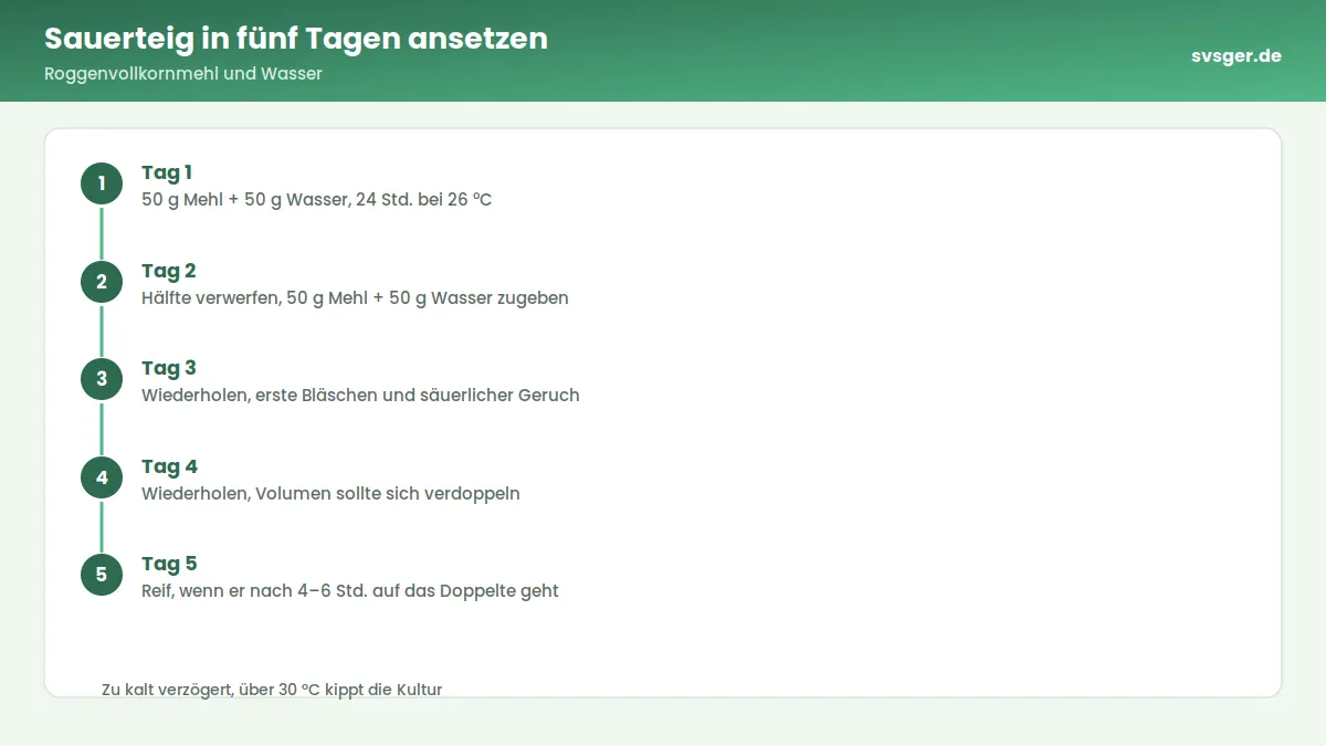Ablaufgrafik: Sauerteig in fünf Tagen ansetzen – Roggenvollkornmehl und Wasser