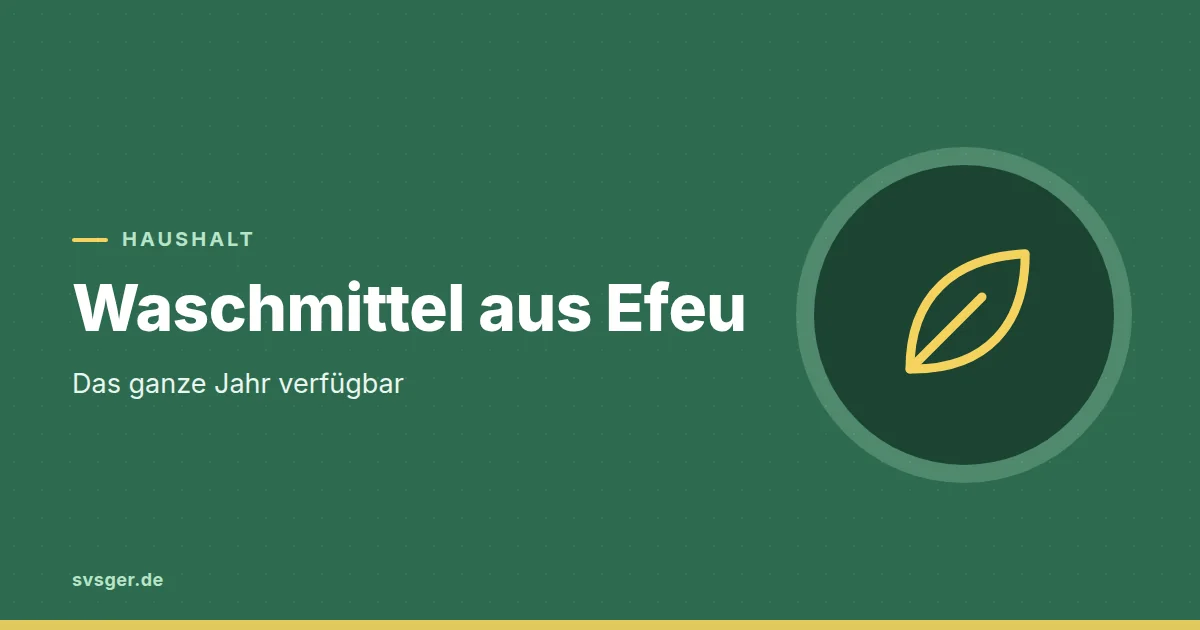 Grafik zum Beitrag: Waschmittel aus Efeu: das ganze Jahr verfügbar