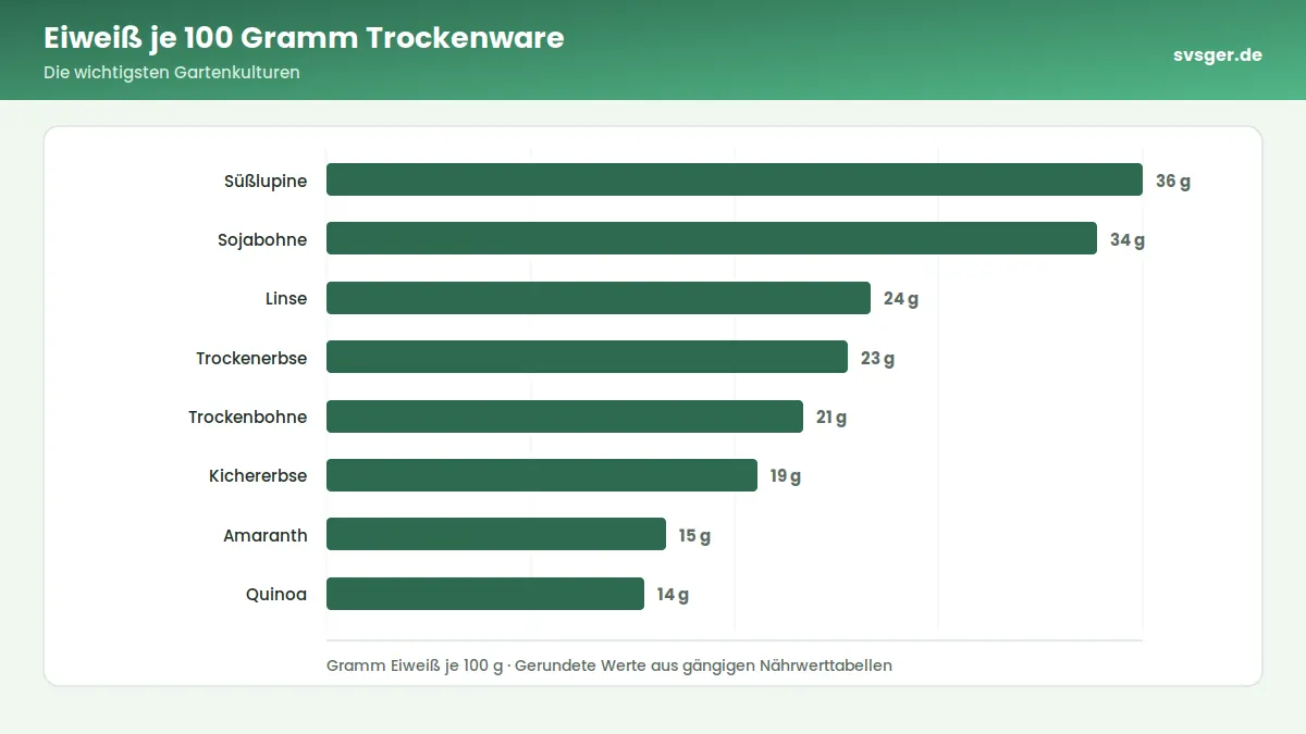 Balkendiagramm: Eiweiß je 100 Gramm Trockenware – Die wichtigsten Gartenkulturen