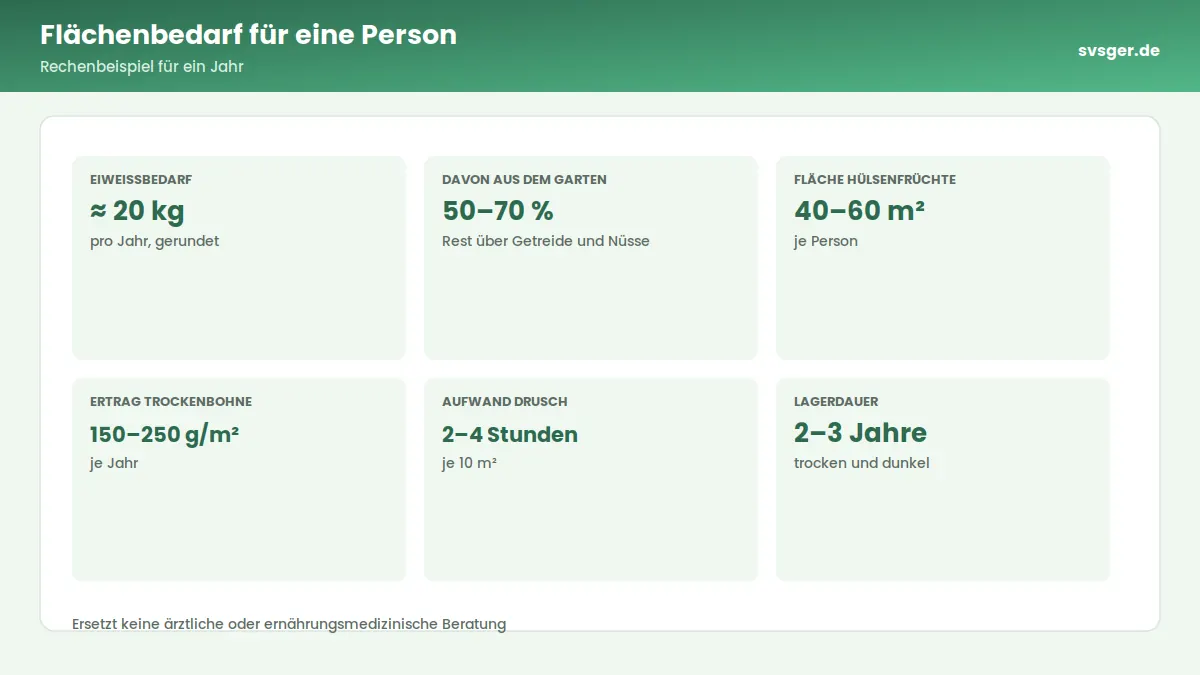 Kennzahlen-Grafik: Flächenbedarf für eine Person – Rechenbeispiel für ein Jahr