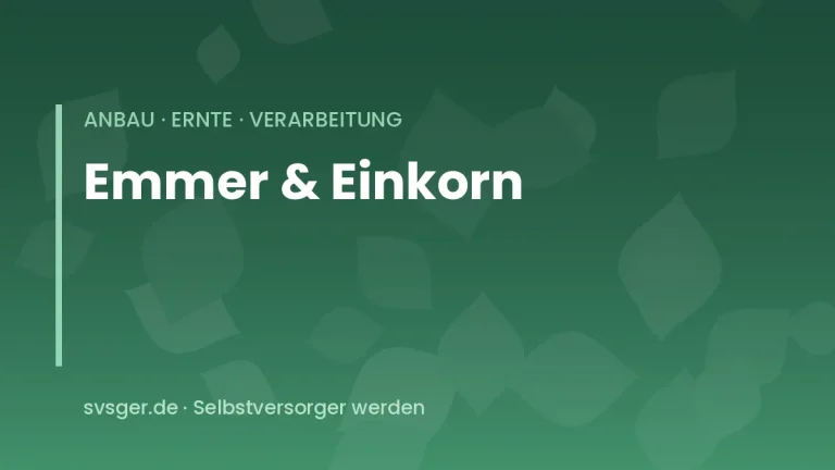 emmer einkorn anbauen