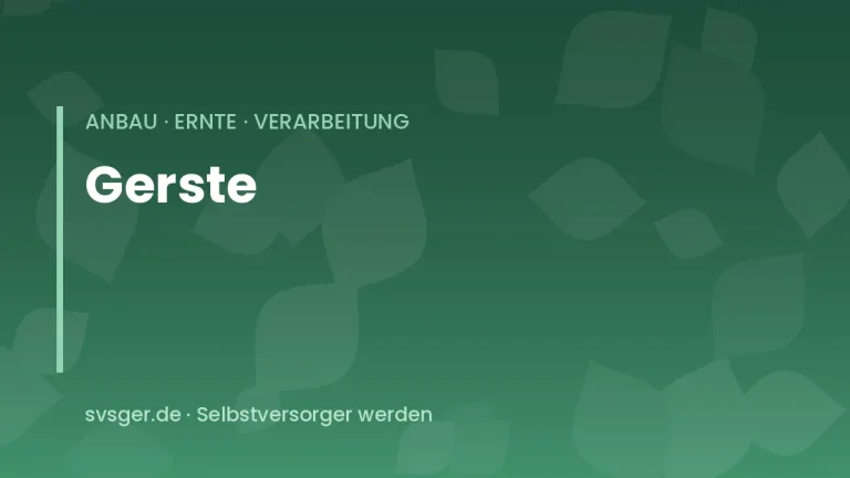 gerste anbauen