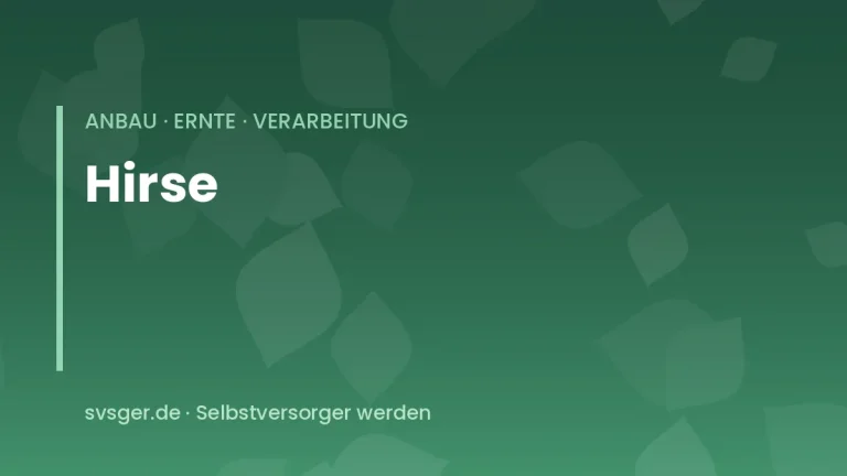 hirse anbauen