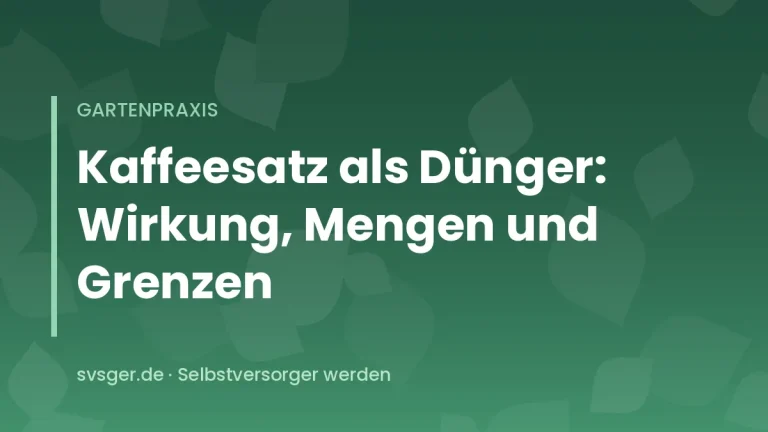 Getrockneter Kaffeesatz wird dünn in die Erde eines Gemüsebeets eingearbeitet