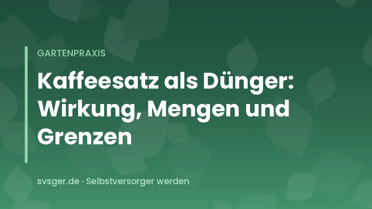 Getrockneter Kaffeesatz wird dünn in die Erde eines Gemüsebeets eingearbeitet