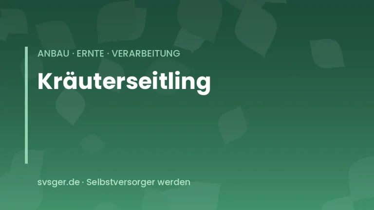 kraeuterseitling anbauen