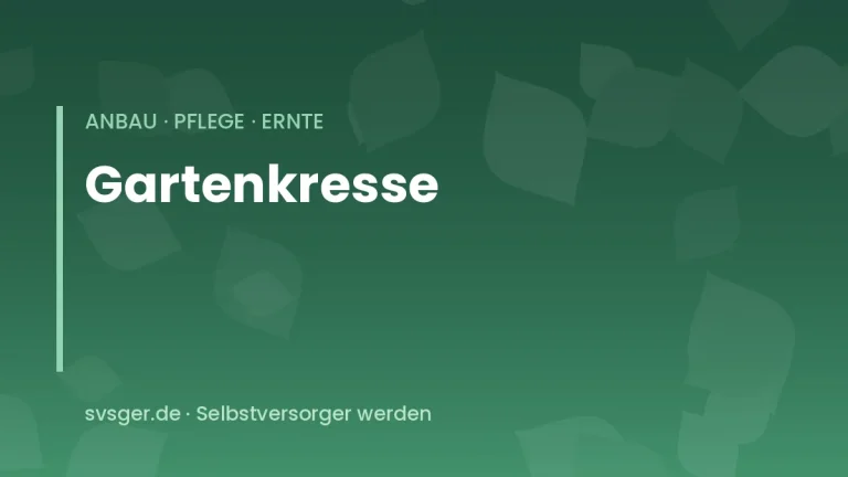 kresse anbauen
