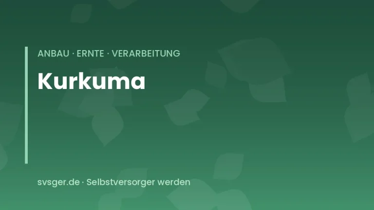 kurkuma anbauen