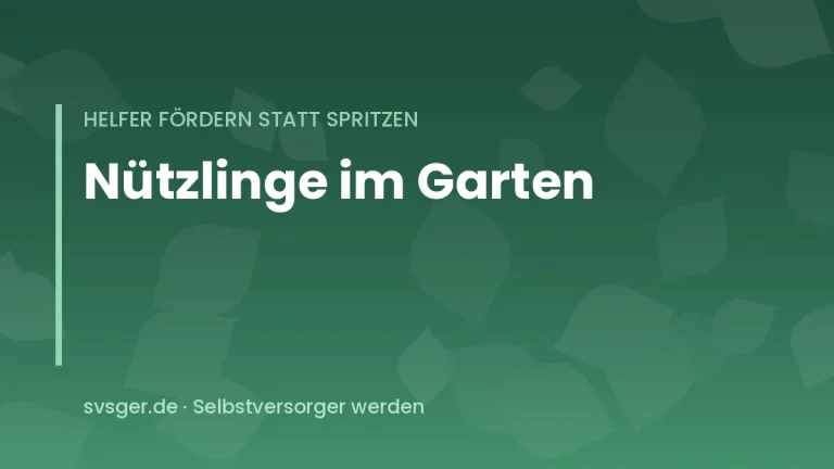 Nuetzlinge im Garten foerdern