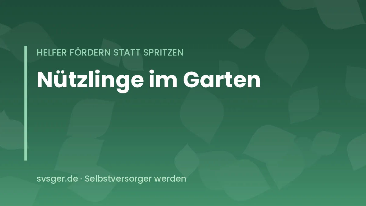 Nützlinge im Garten: Marienkäfer, Florfliege und Regenwurm im Gemüsebeet