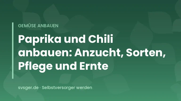 Paprika- und Chilipflanzen mit roten, gelben und grünen Früchten im Gewächshaus