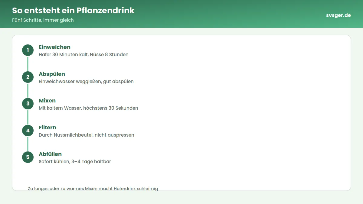Ablaufgrafik: So entsteht ein Pflanzendrink – Fünf Schritte, immer gleich