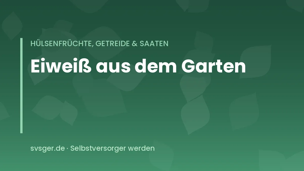 Pflanzliche Eiweißquellen aus dem Garten: Bohnen, Erbsen, Linsen und Kichererbsen