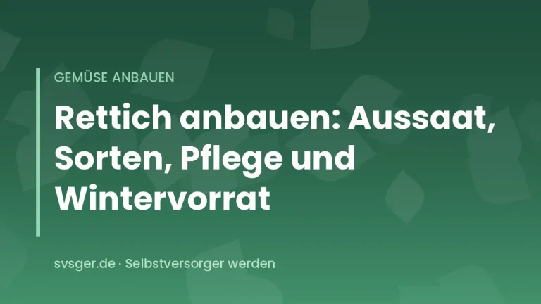 Frisch geerntete weiße, rosa und schwarze Rettiche mit Laub auf Gartenerde