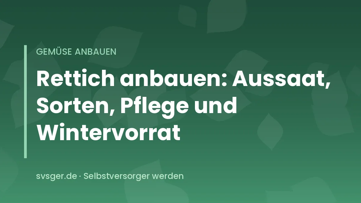 Frisch geerntete weiße, rosa und schwarze Rettiche mit Laub auf Gartenerde