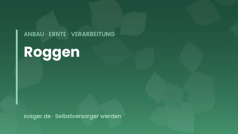 roggen anbauen