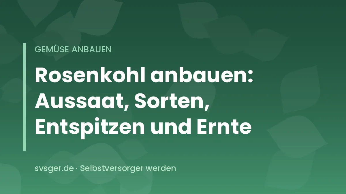 Rosenkohlpflanze mit dicht besetztem Stängel und festen Röschen im herbstlichen Gemüsebeet