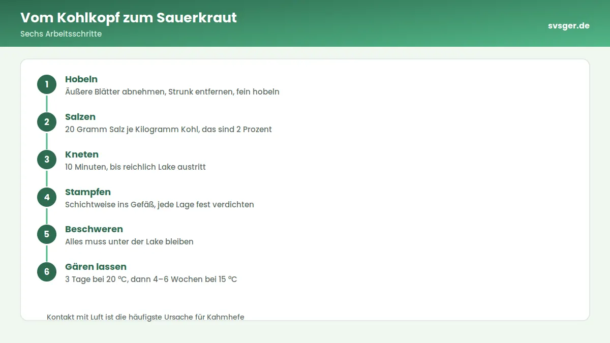 Ablaufgrafik: Vom Kohlkopf zum Sauerkraut – Sechs Arbeitsschritte