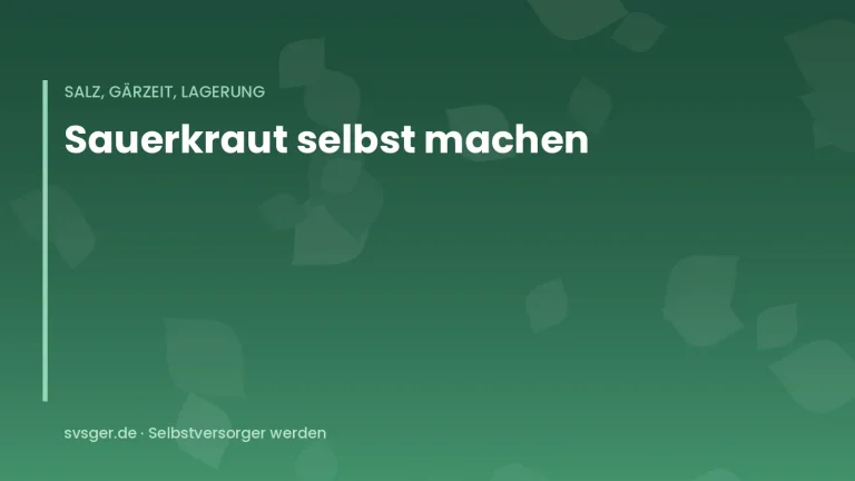 Titelgrafik von svsger.de: Sauerkraut selbst machen – Salz, Gärzeit, Lagerung
