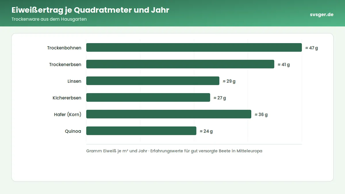 Balkendiagramm: Eiweißertrag je Quadratmeter und Jahr – Trockenware aus dem Hausgarten