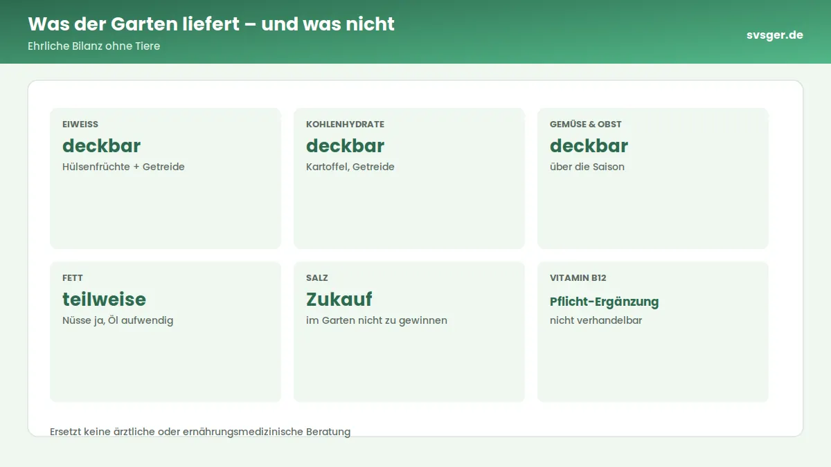 Kennzahlen-Grafik: Was der Garten liefert – und was nicht – Ehrliche Bilanz ohne Tiere