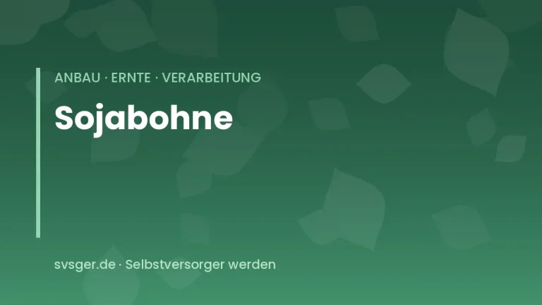 sojabohnen anbauen