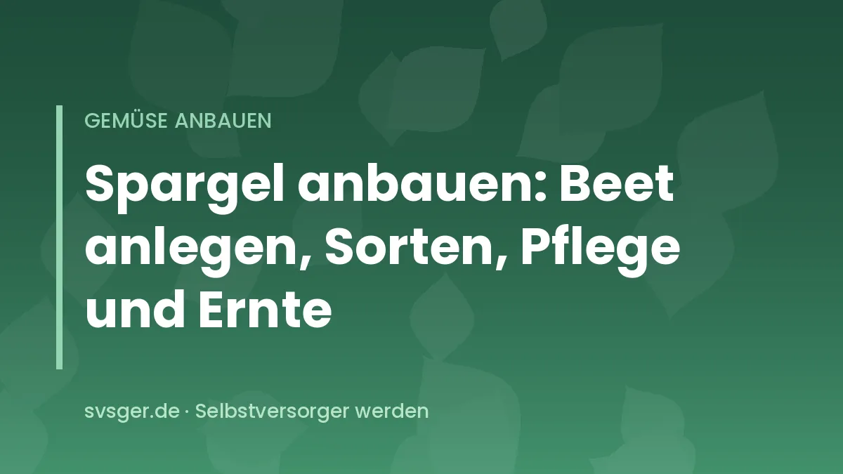 Frisch gestochene grüne und weiße Spargelstangen neben einem angehäufelten Spargelbeet