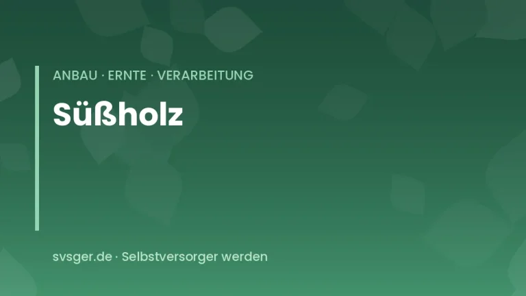 suessholz anbauen
