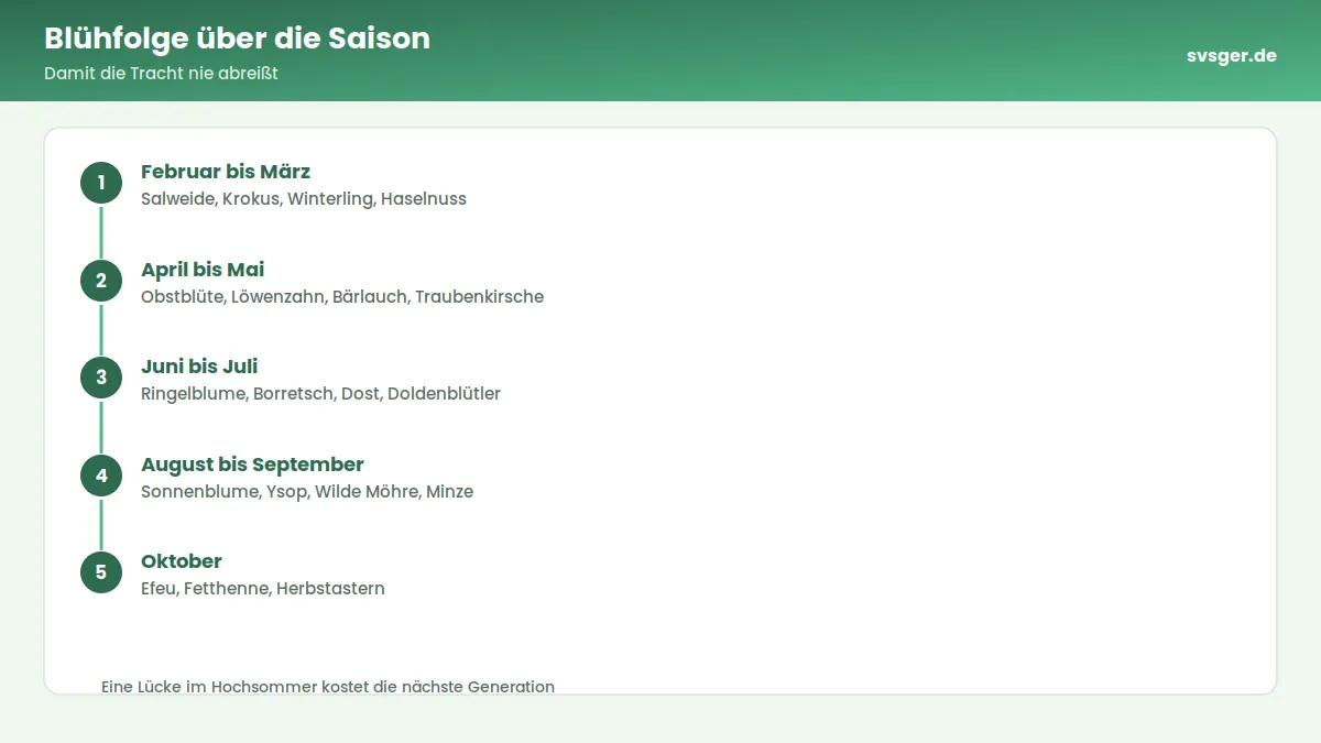 Ablaufgrafik: Blühfolge über die Saison – Damit die Tracht nie abreißt