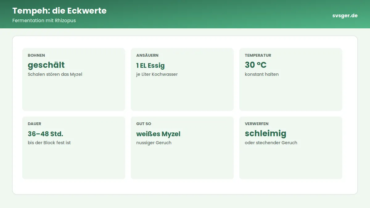 Kennzahlen-Grafik: Tempeh: die Eckwerte – Fermentation mit Rhizopus