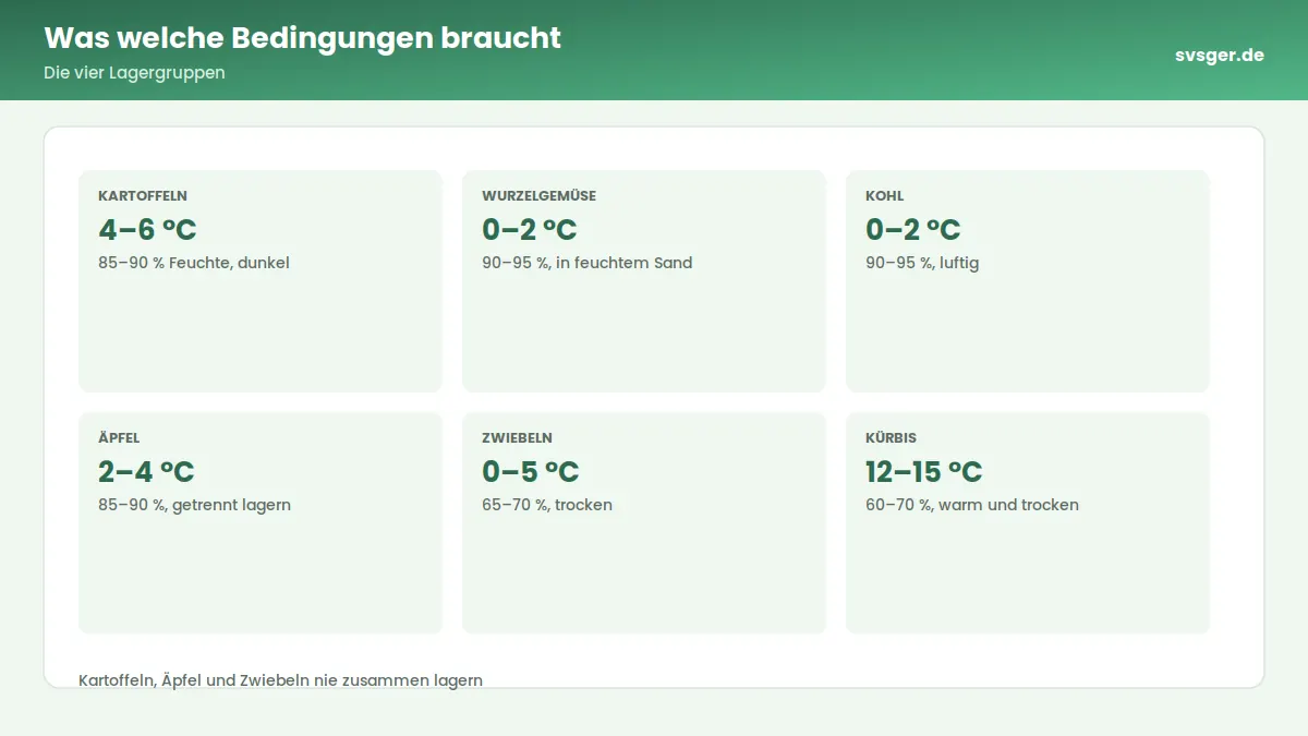 Kennzahlen-Grafik: Was welche Bedingungen braucht – Die vier Lagergruppen