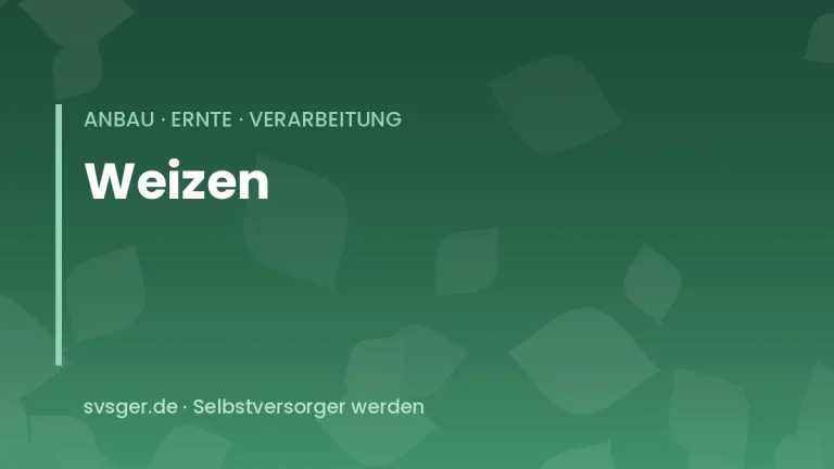 weizen anbauen